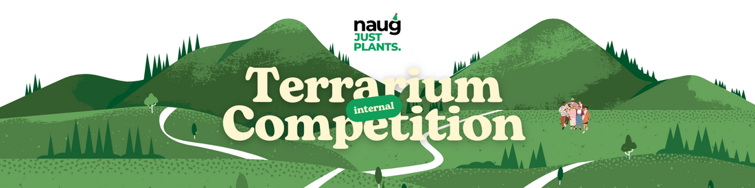 Internal Terrarium Competition x Naug Just Plants Anniversary Special 2025