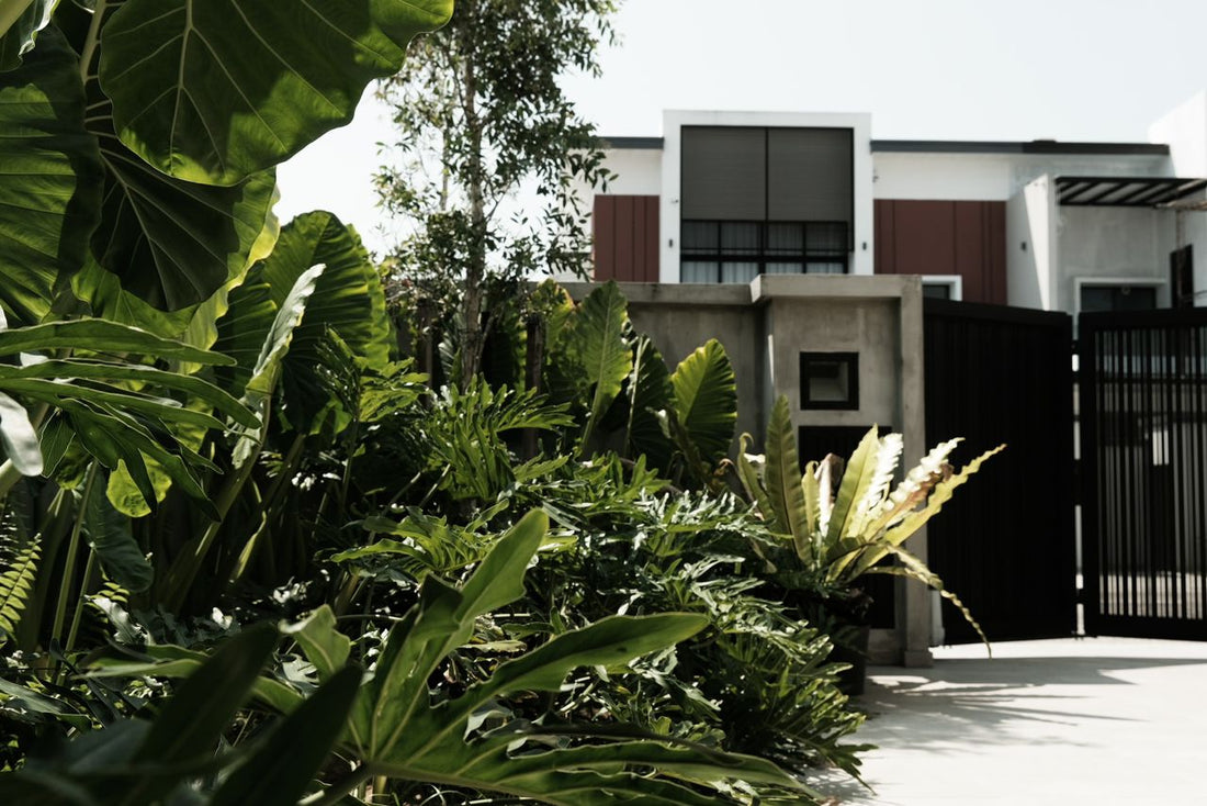 Jalan Sasa, Johor Bahru