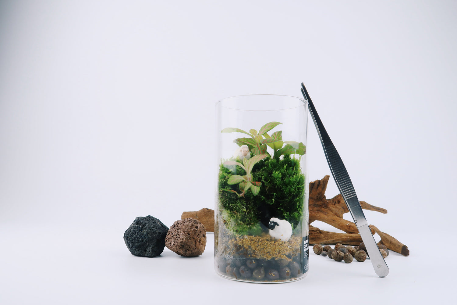 Soilless Terrarium DIY Kit is out now