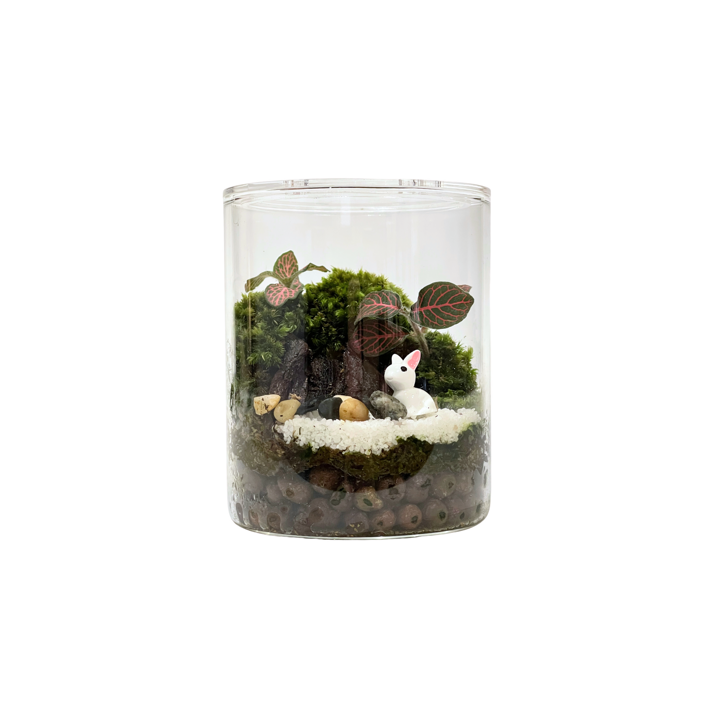 Cylinder Terrarium Series