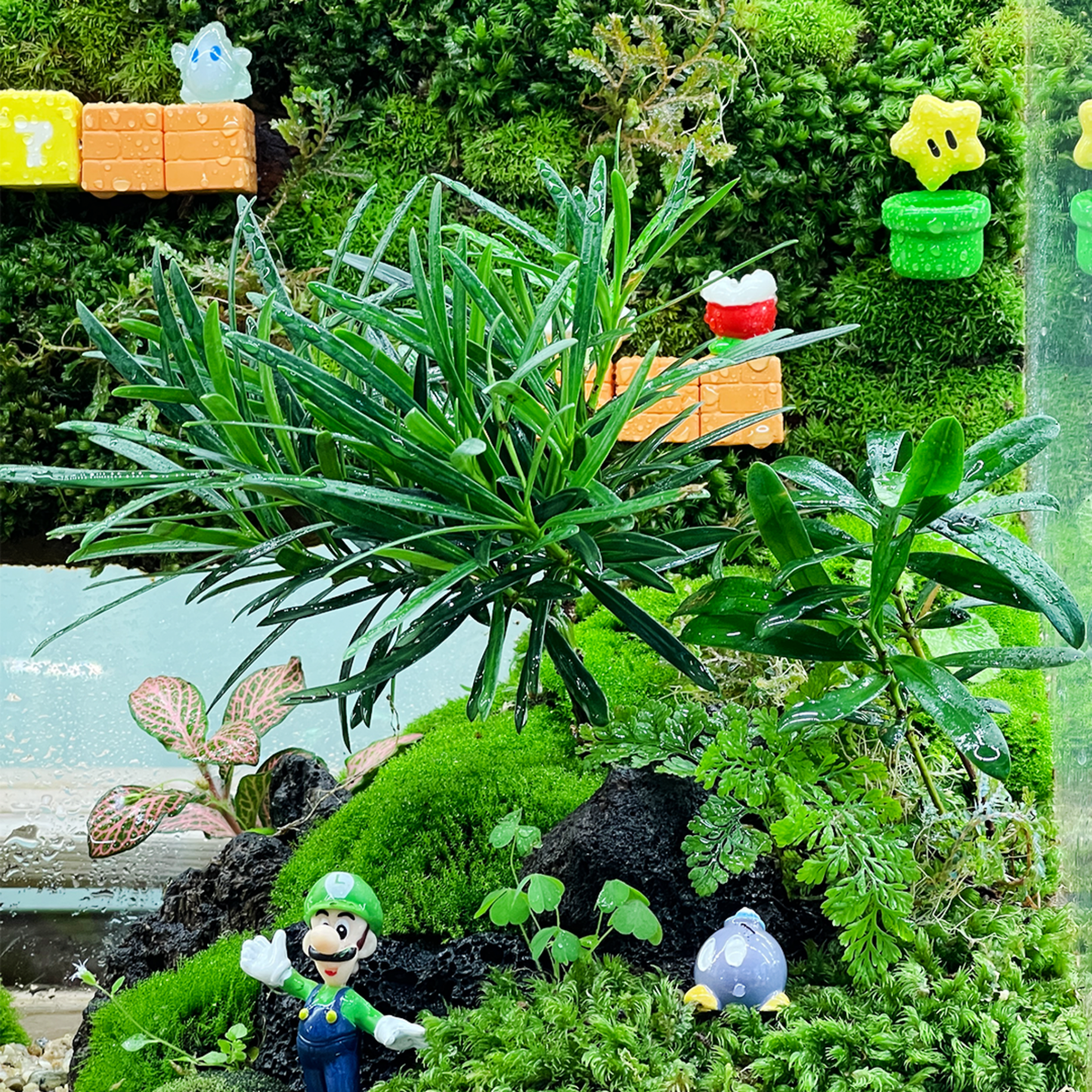 Super Mario Green Wall Terrarium Series