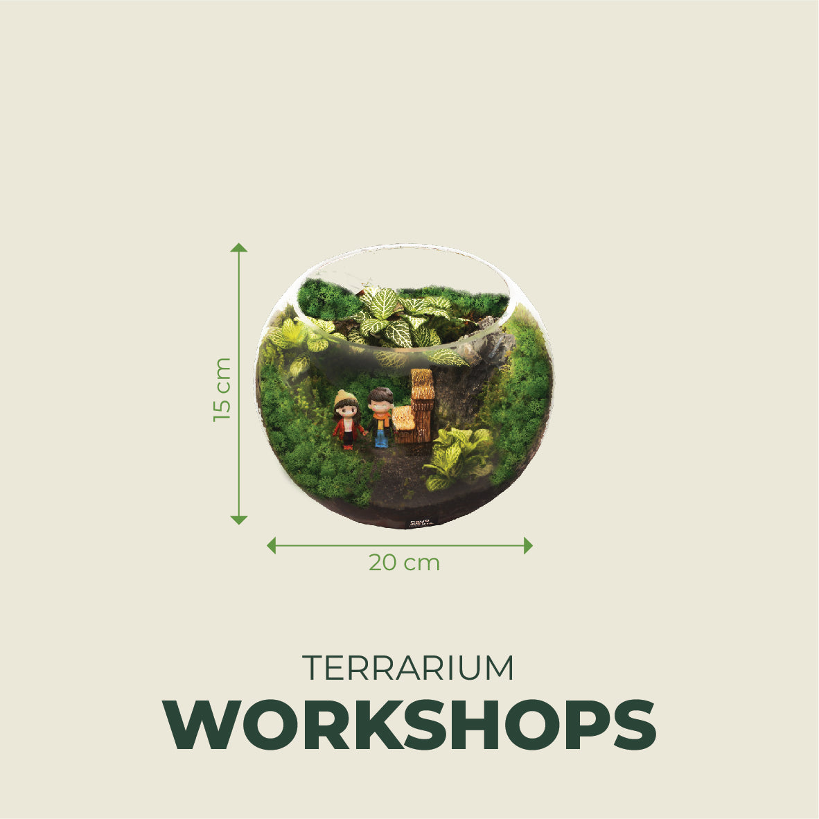 Creative Terrarium 15cm x 20cm