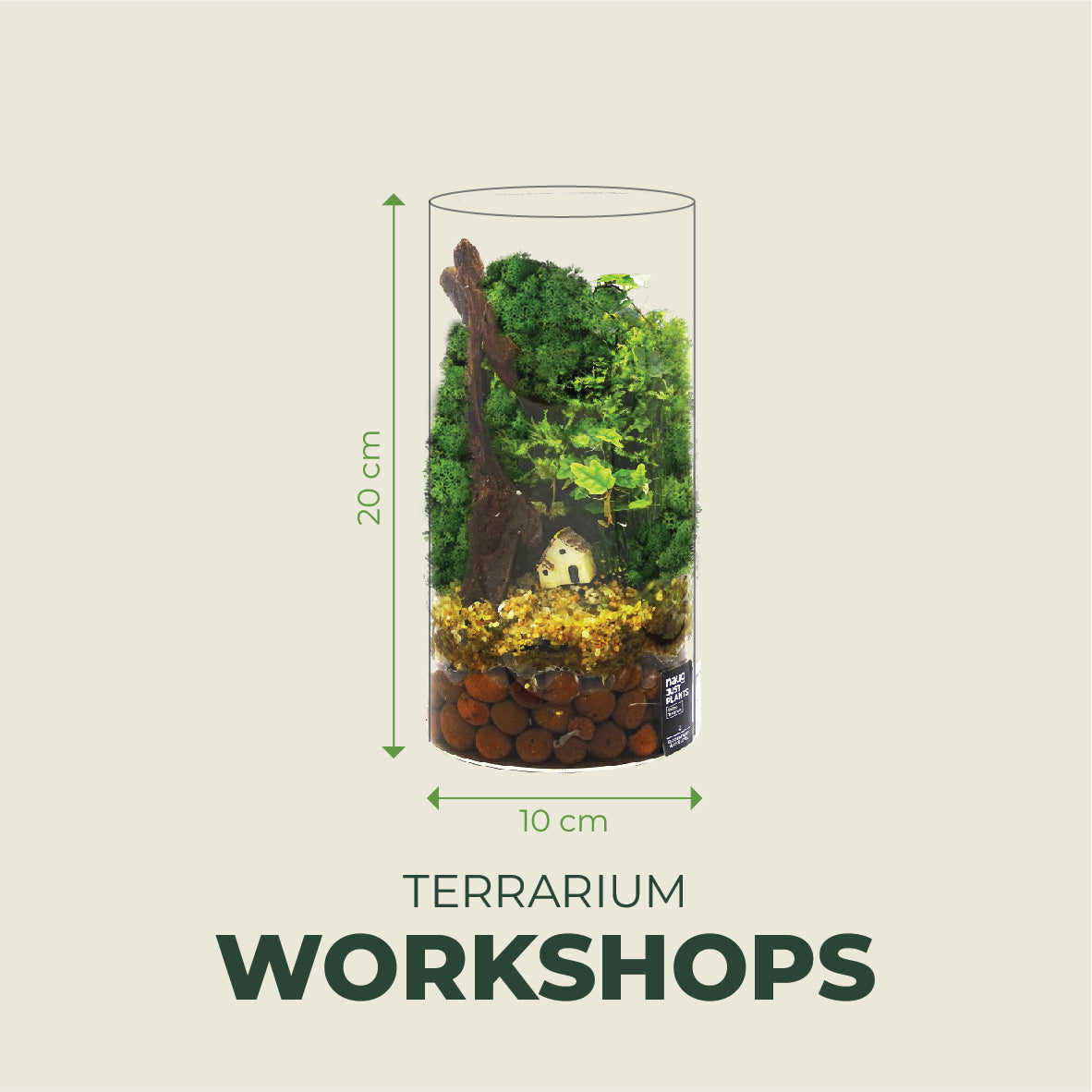 Standard Terrarium 20cm x 10cm