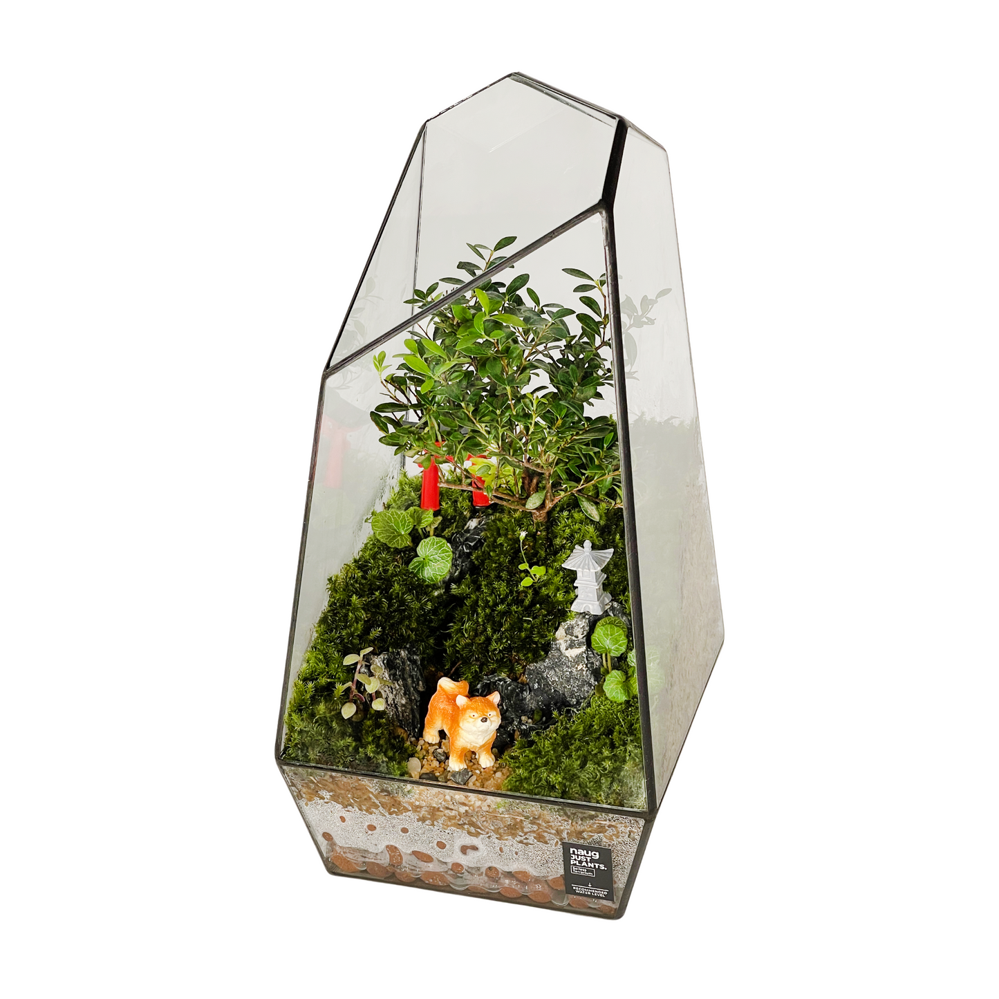 Geometric Terrarium Series