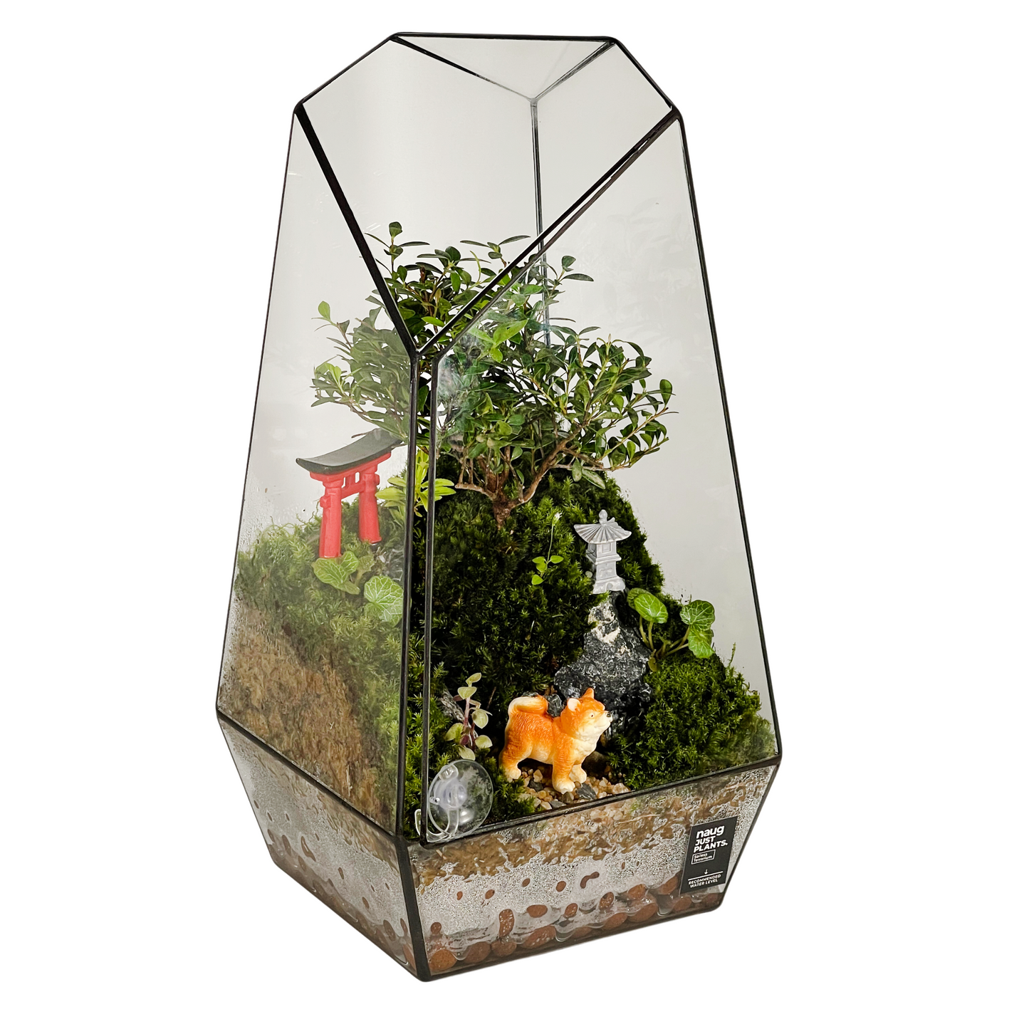 Geometric Terrarium Series