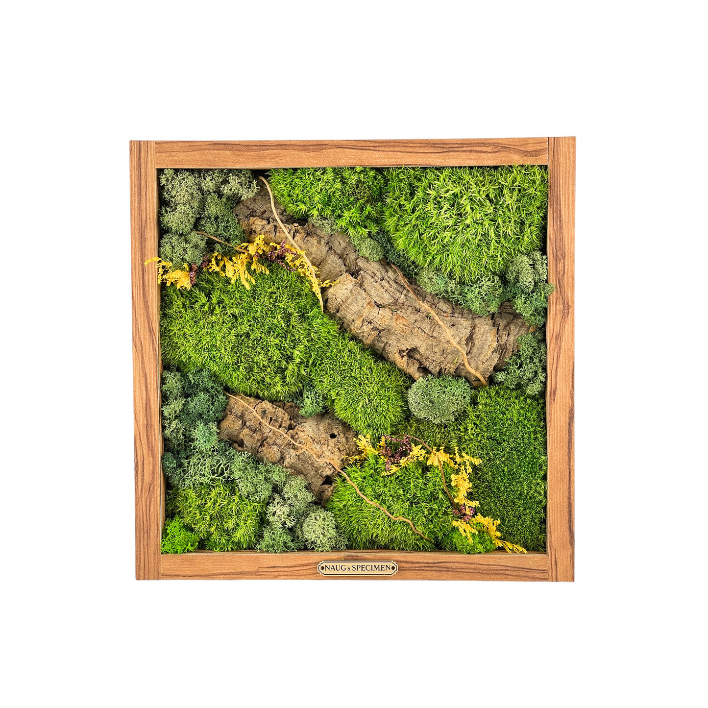 Square Preserved Moss Frame with Cork Bark