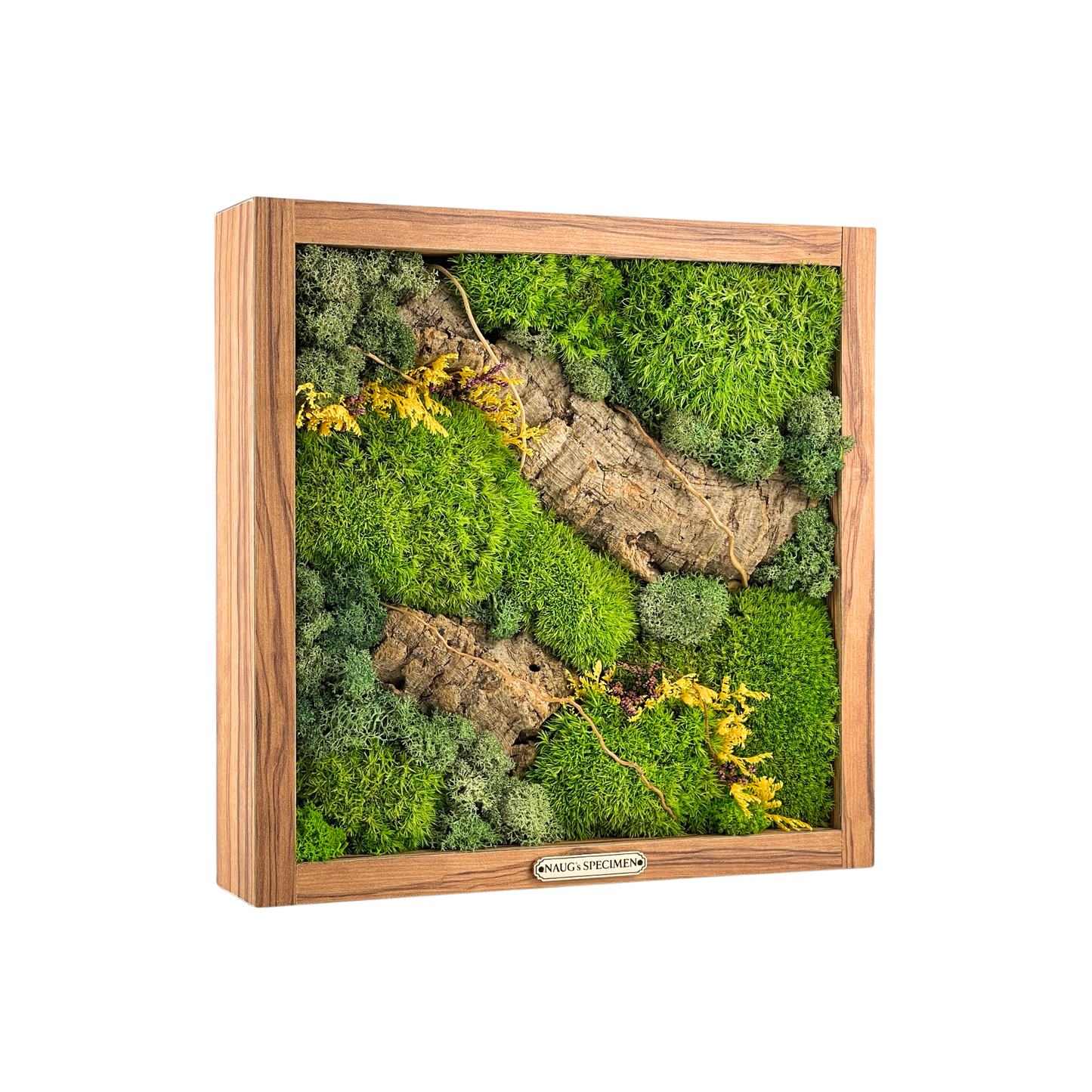 Square Preserved Moss Frame with Cork Bark
