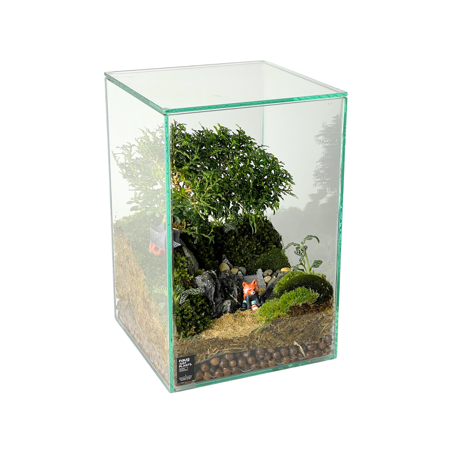 Bonsai Terrarium Series