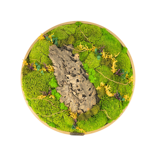 40CM Preserved Moss Frame with Cork Bark