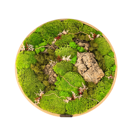40CM Preserved Moss Frame with Cork Bark