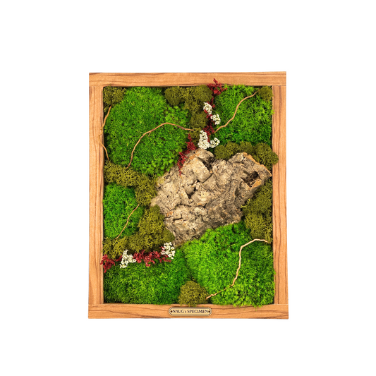 11'' x 9'' Preserved Moss Frame with Cork Bark