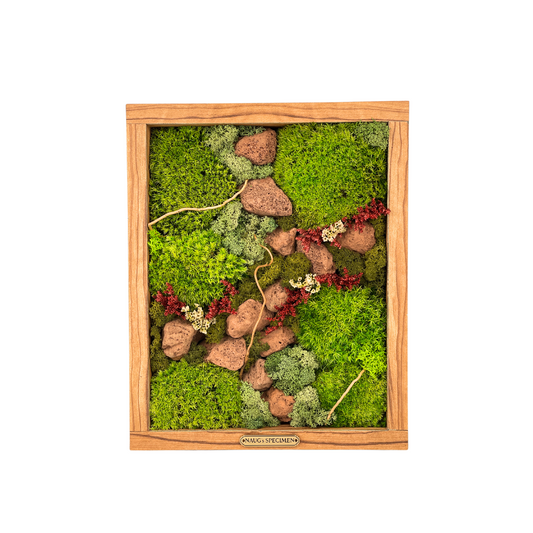 11'' x 9'' Preserved Moss Frame with Lava Rock