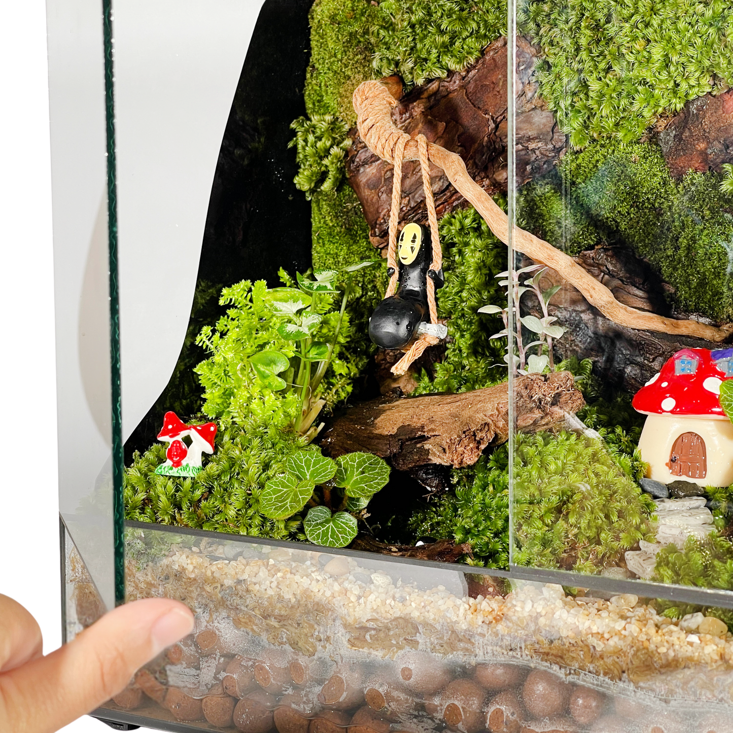 Green Wall Terrarium Series