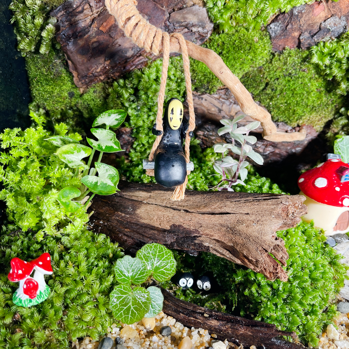 Green Wall Terrarium Series