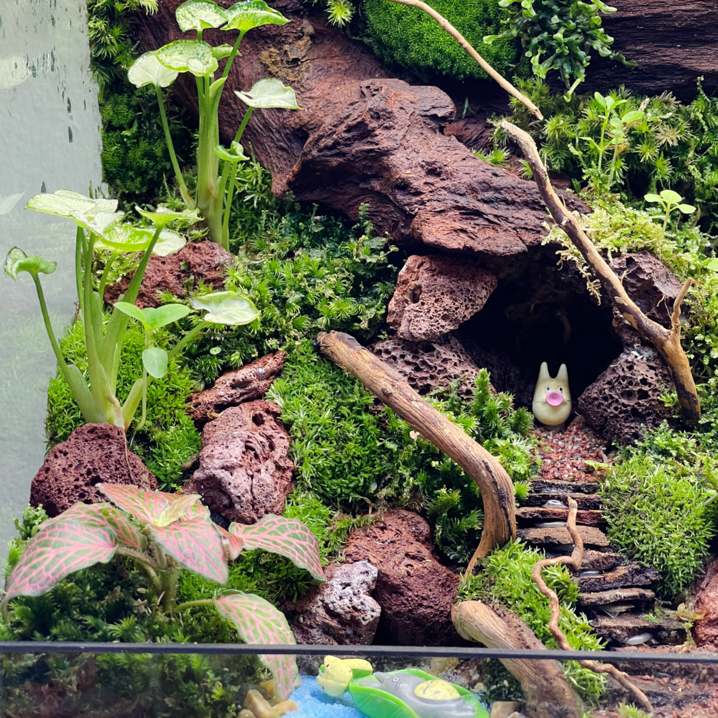 Green Wall Terrarium Series