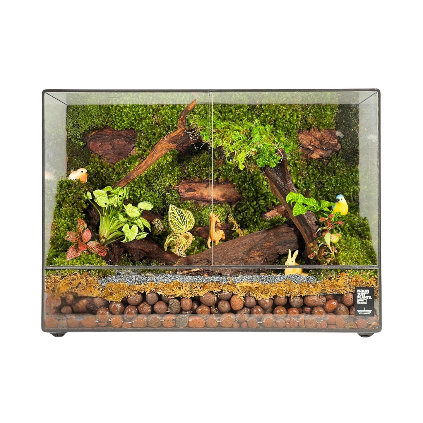 Green Wall Terrarium 35CM x 15CM x 25.7CM