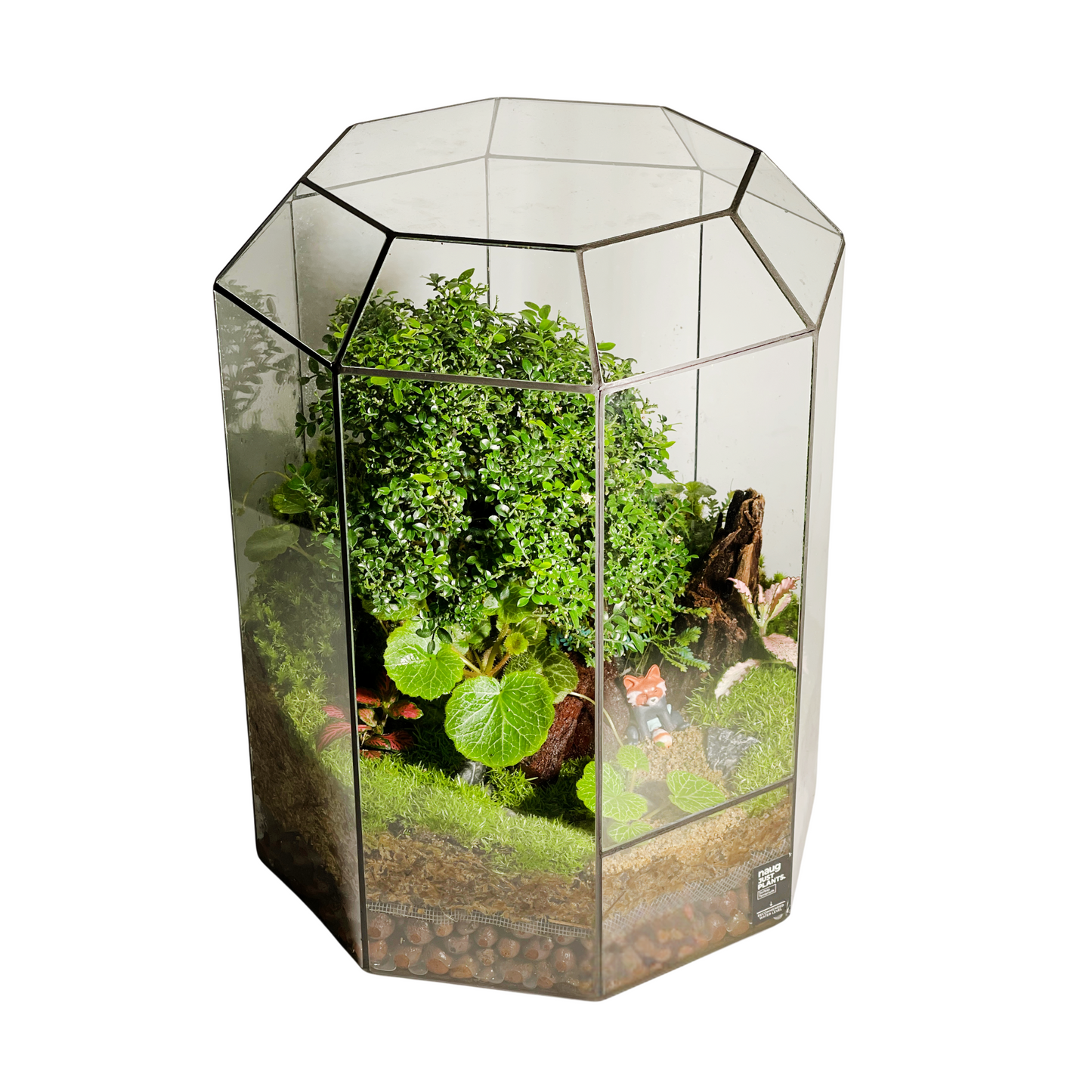 Geometric Terrarium Series