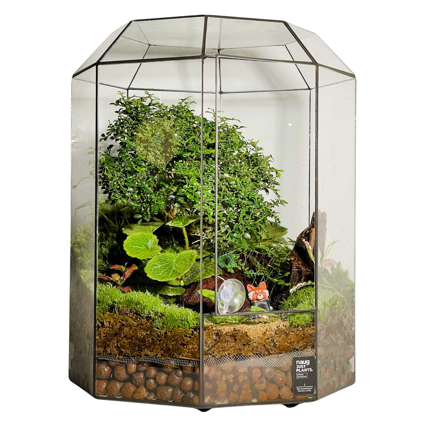 Geometric Terrarium Series
