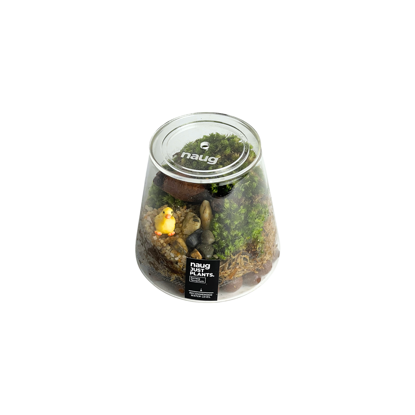 Mount Terrarium Series