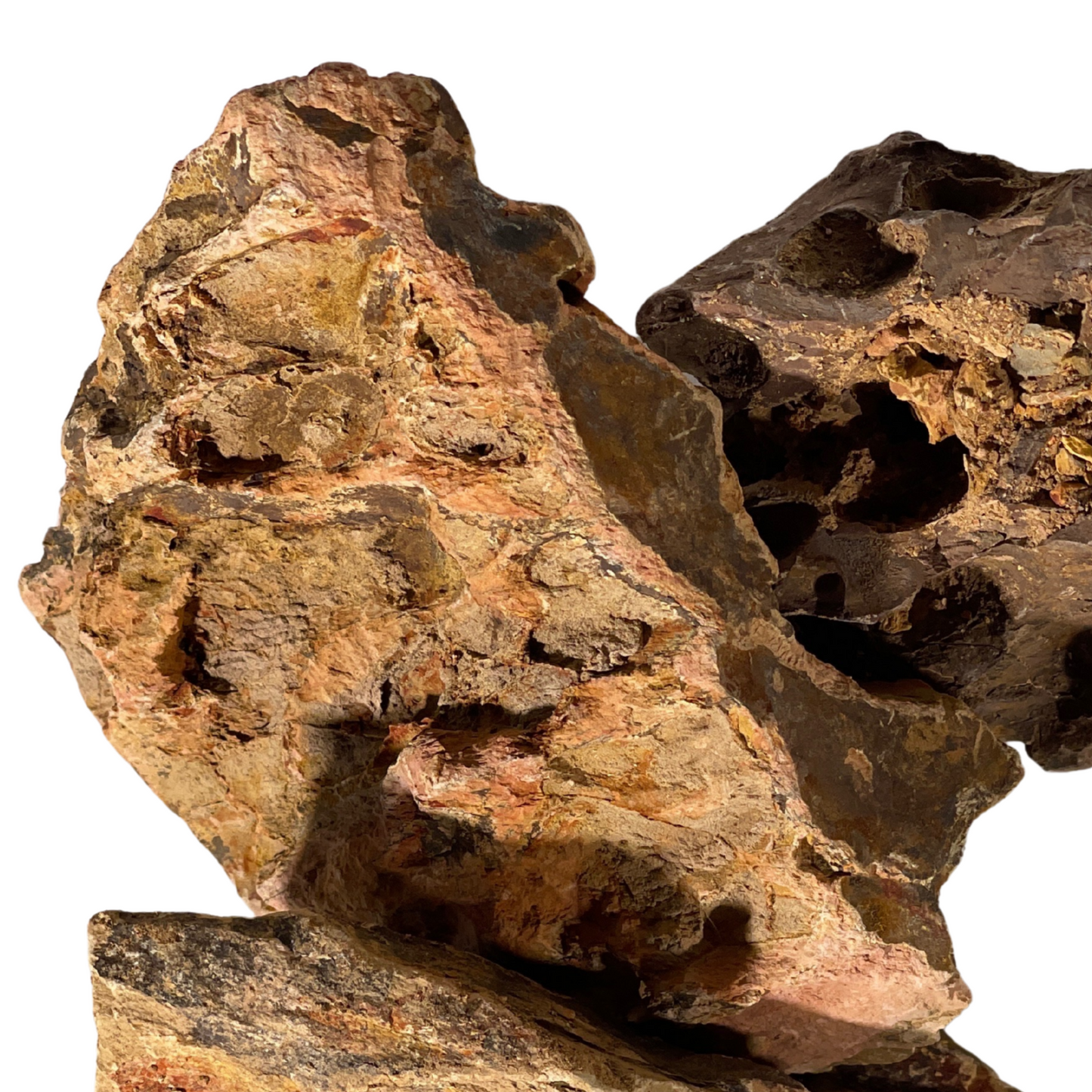 Terrarium Supplies - Alveolate Aquarium Rock