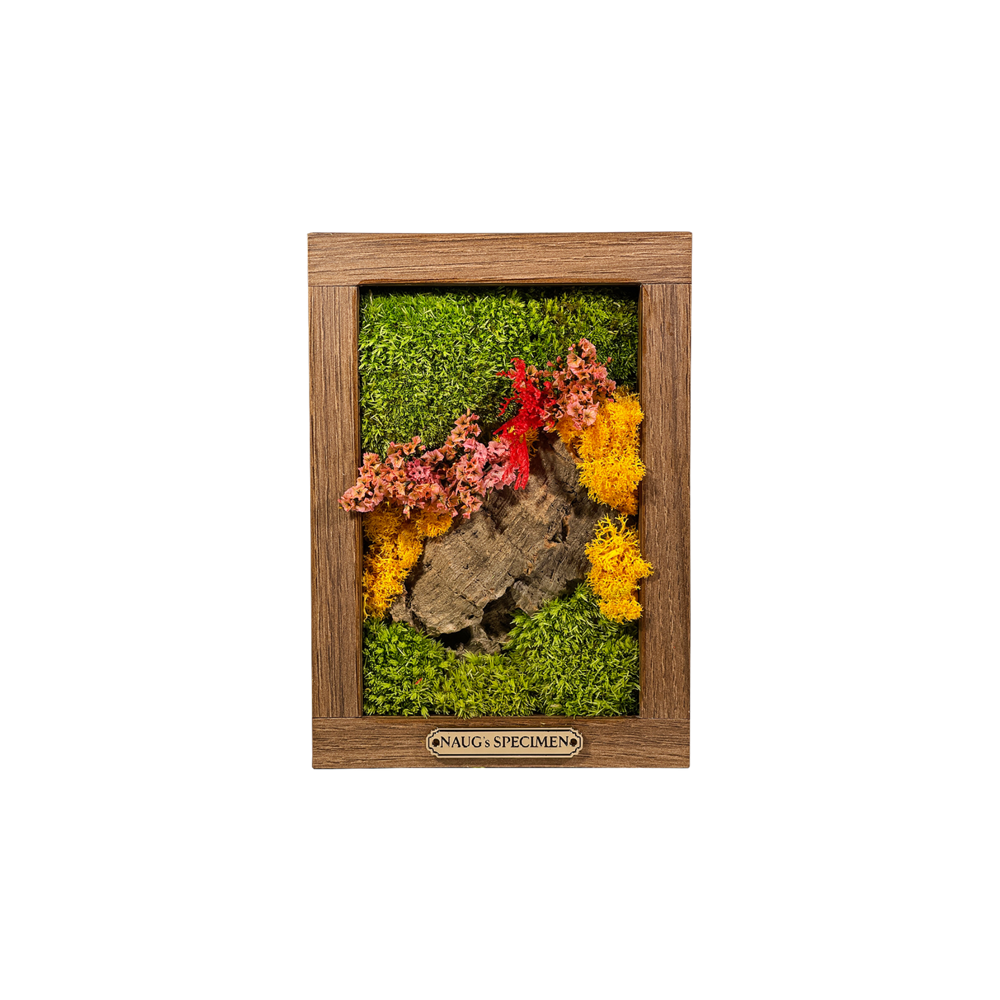 Preserved Moss Frame 180 with Cork Bark