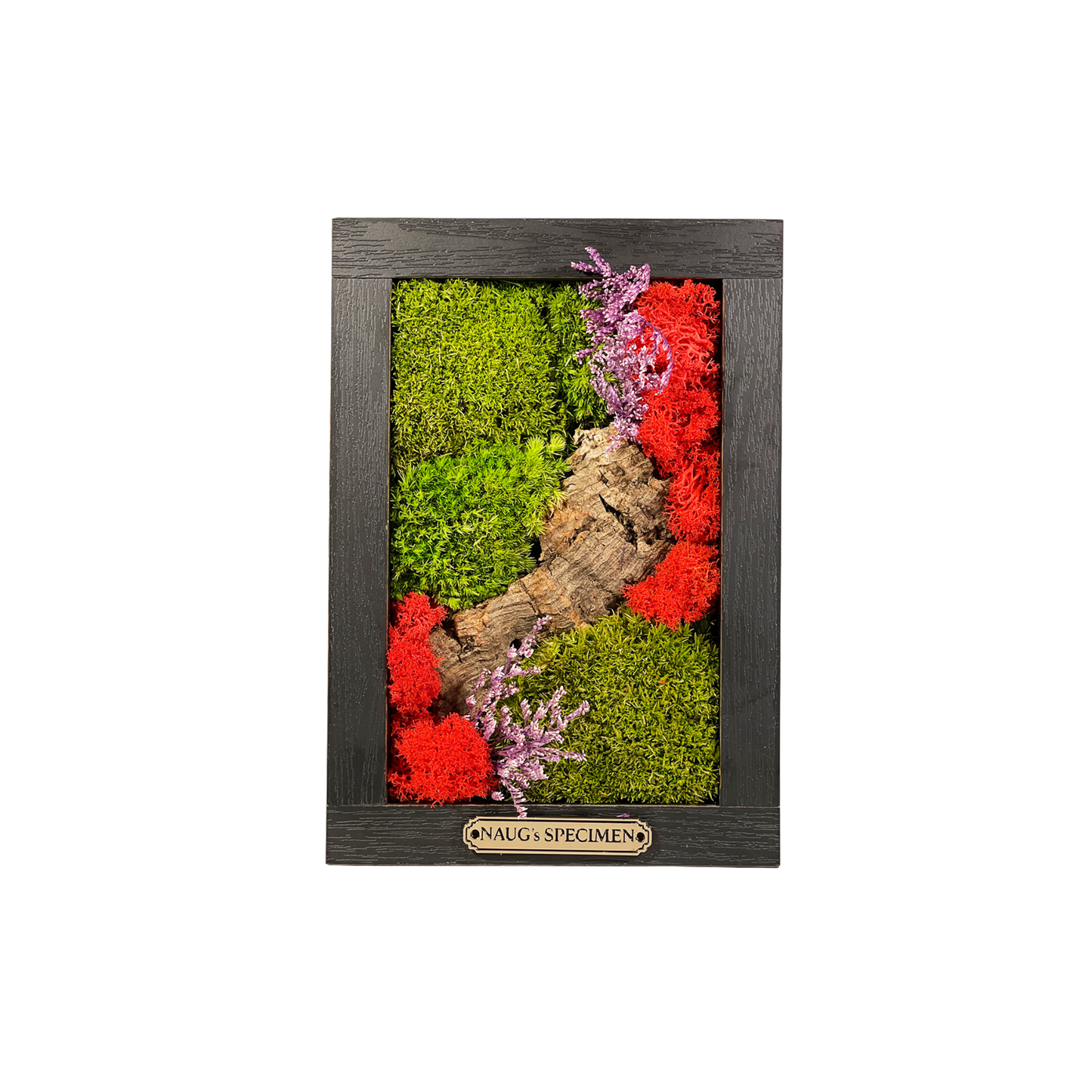 Preserved Moss Frame 180 with Cork Bark