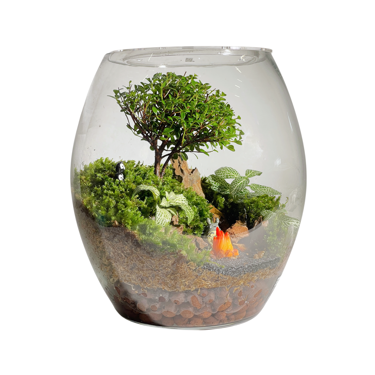 Egg Bowl Terrarium Series