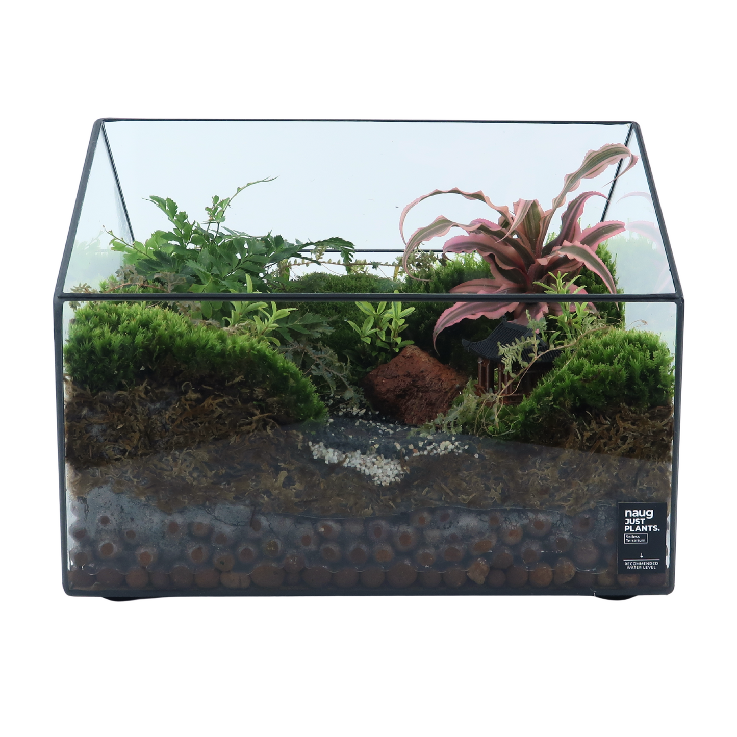 Green House Terrarium Series