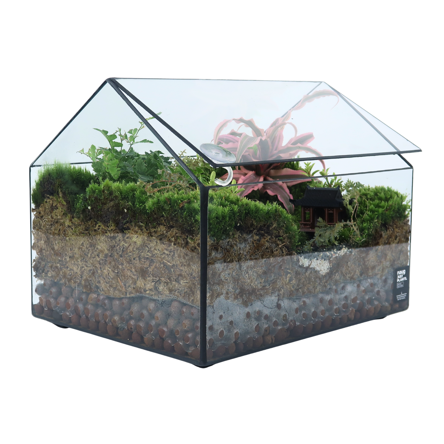 Green House Terrarium Series