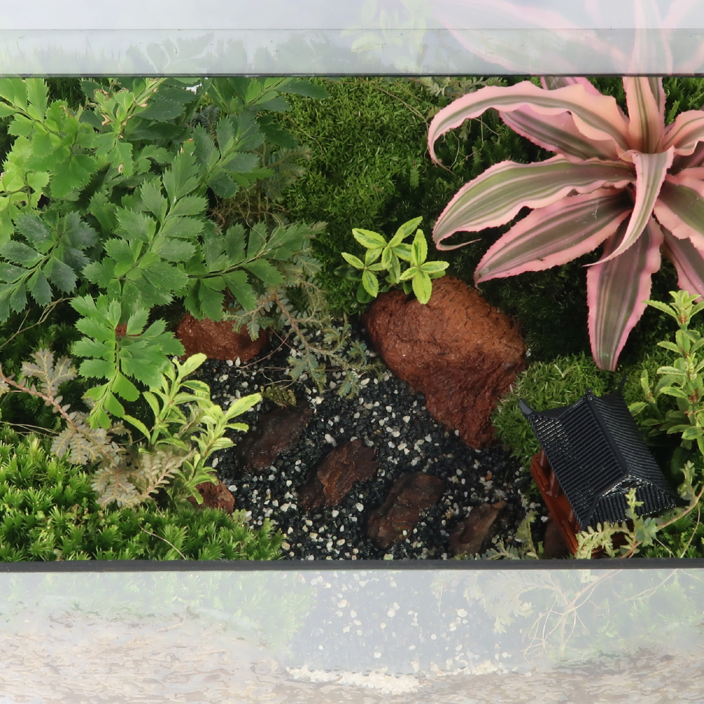 Green House Terrarium Series