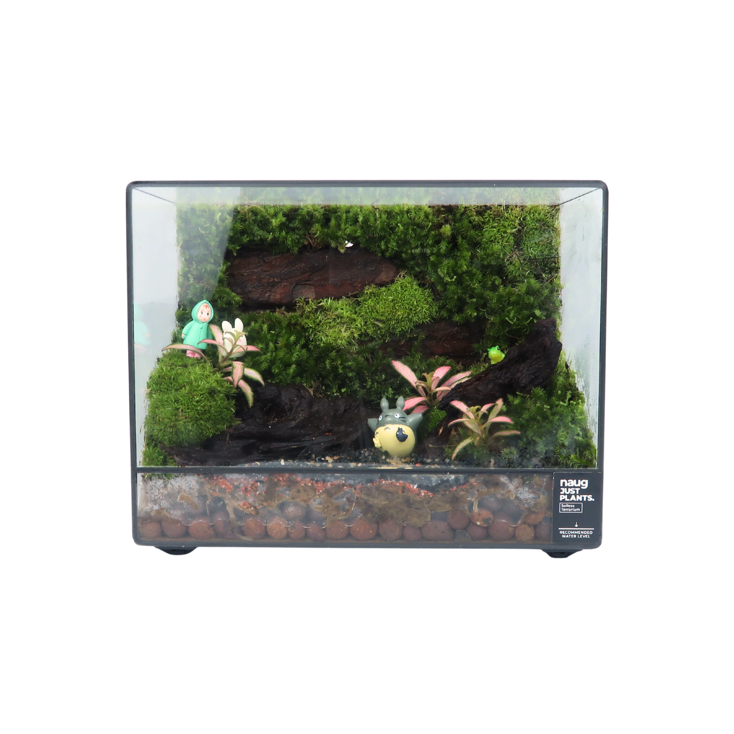 Green Wall Terrarium Series