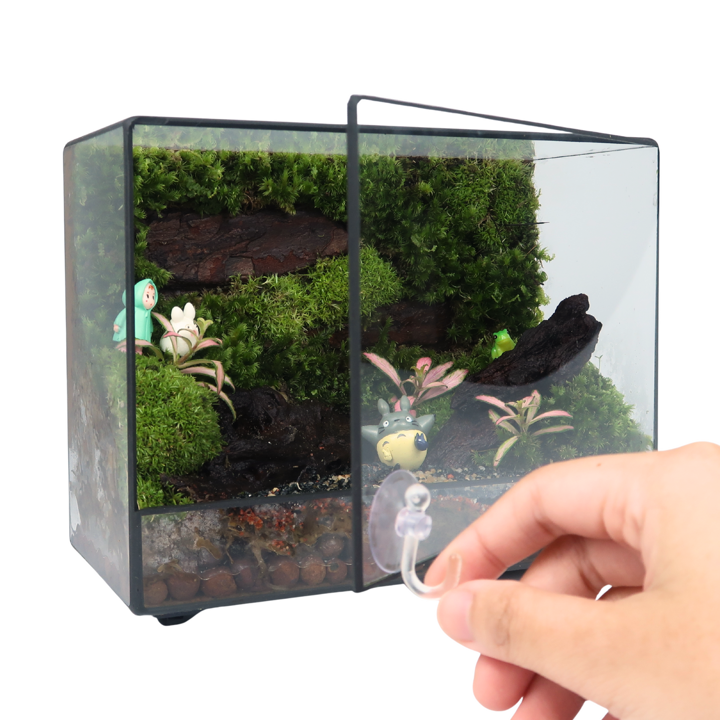 Green Wall Terrarium Series