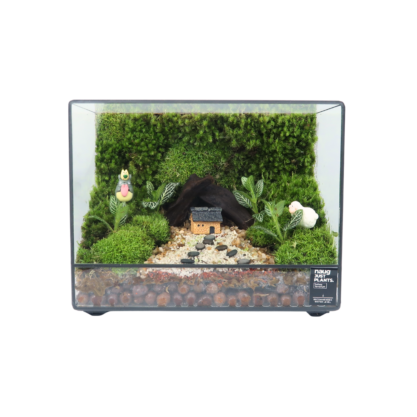 Green Wall Terrarium Series