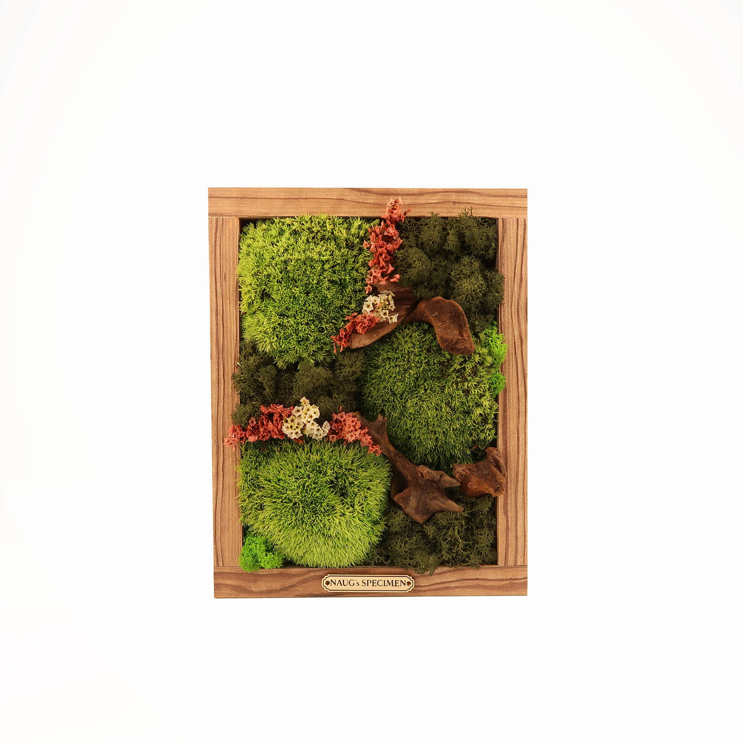 Preserved Moss Frame 280 with Driftwood