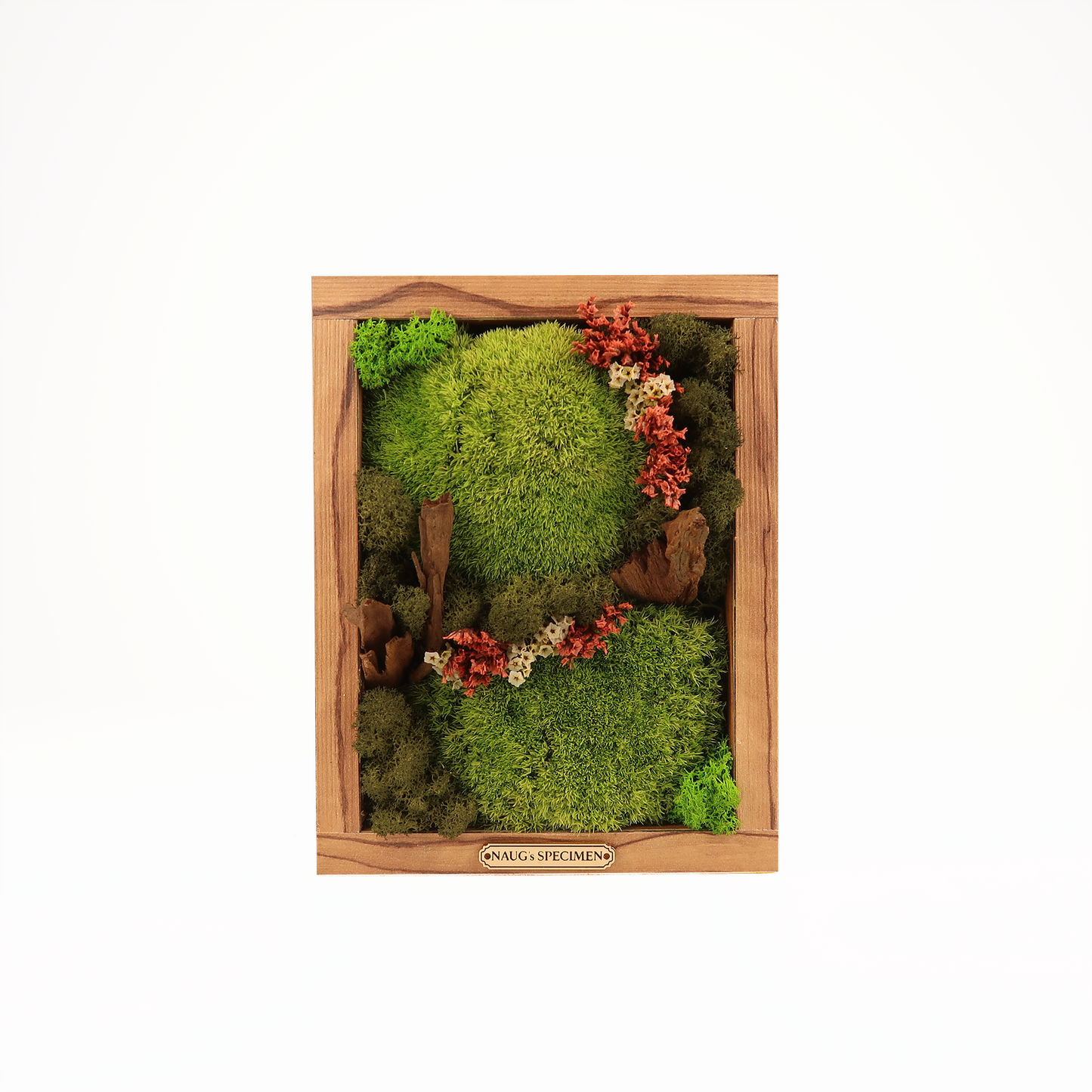 Preserved Moss Frame 280 with Driftwood