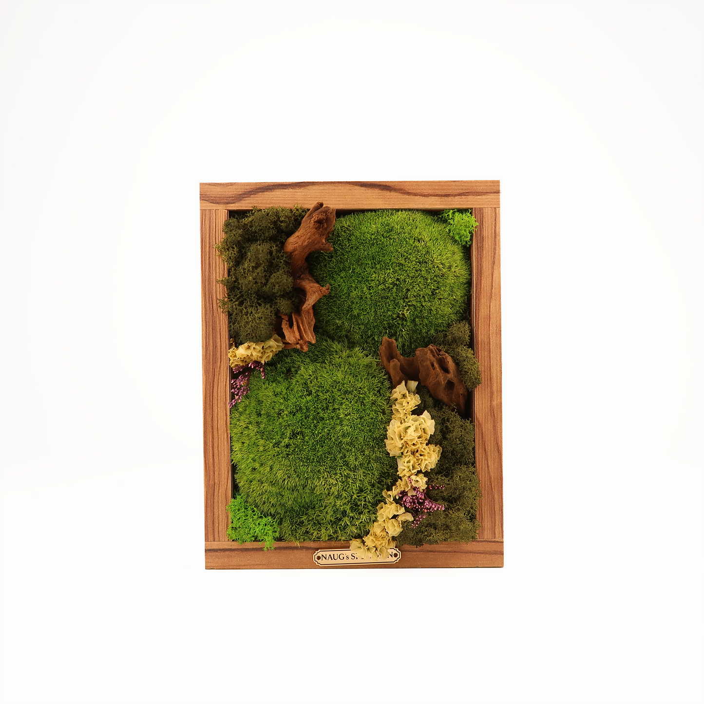 Preserved Moss Frame 280 with Driftwood