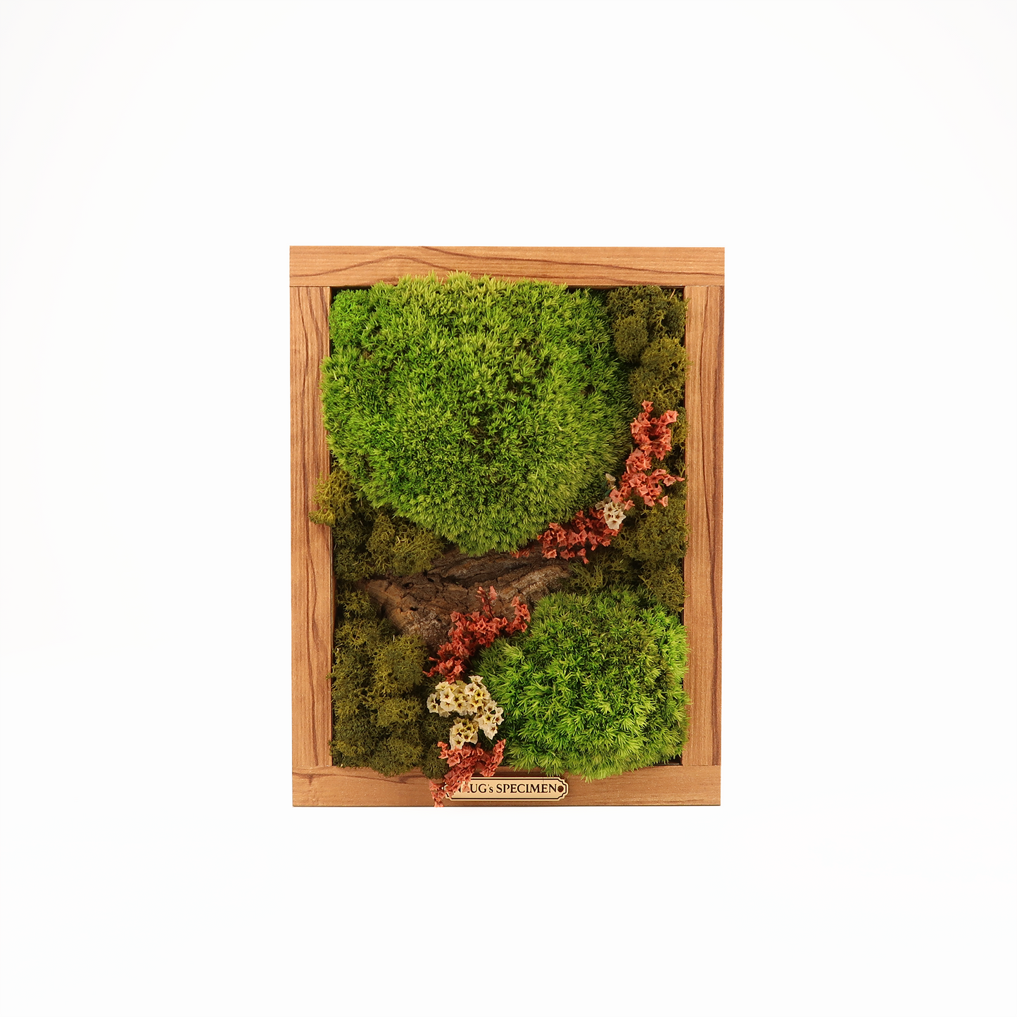 Preserved Moss Frame 280 with Driftwood
