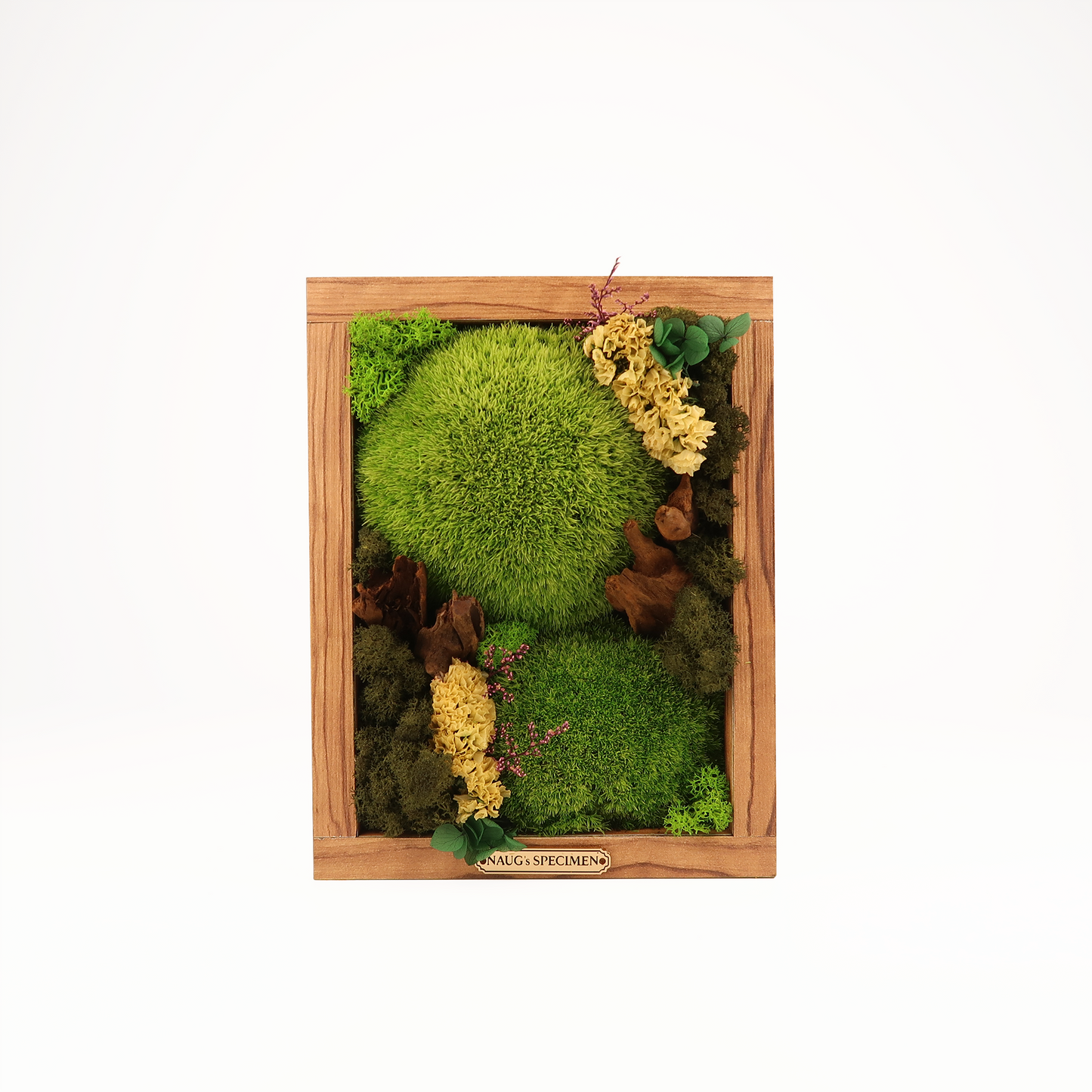 Preserved Moss Frame 280 with Driftwood