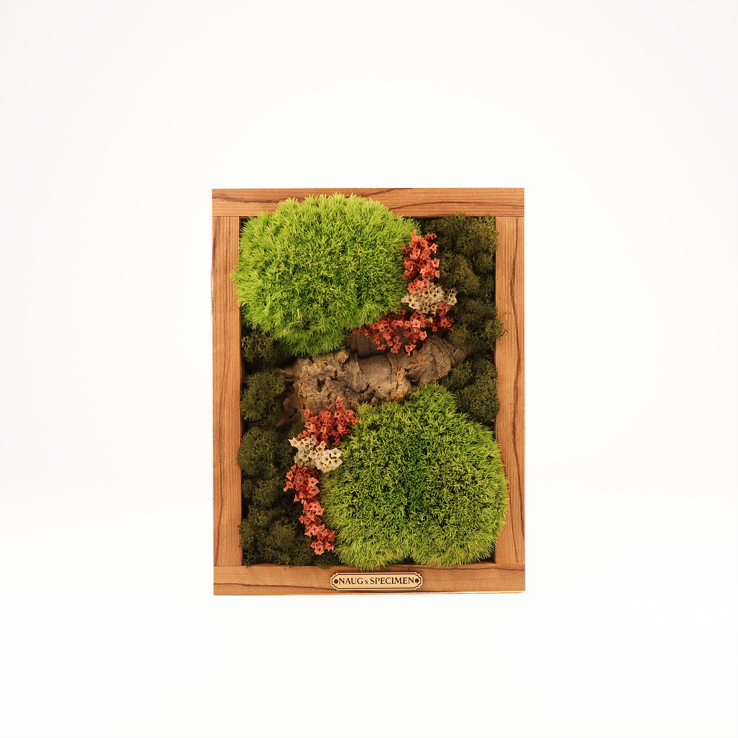 Preserved Moss Frame 280 with Cork Bark