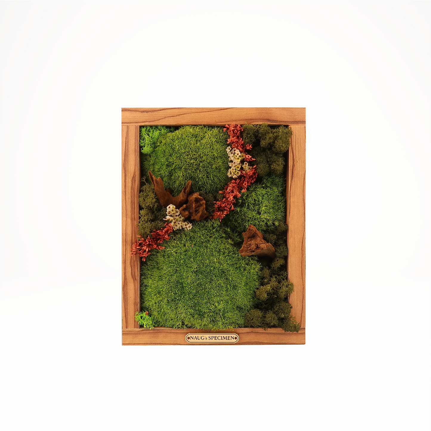 Preserved Moss Frame 280 with Driftwood