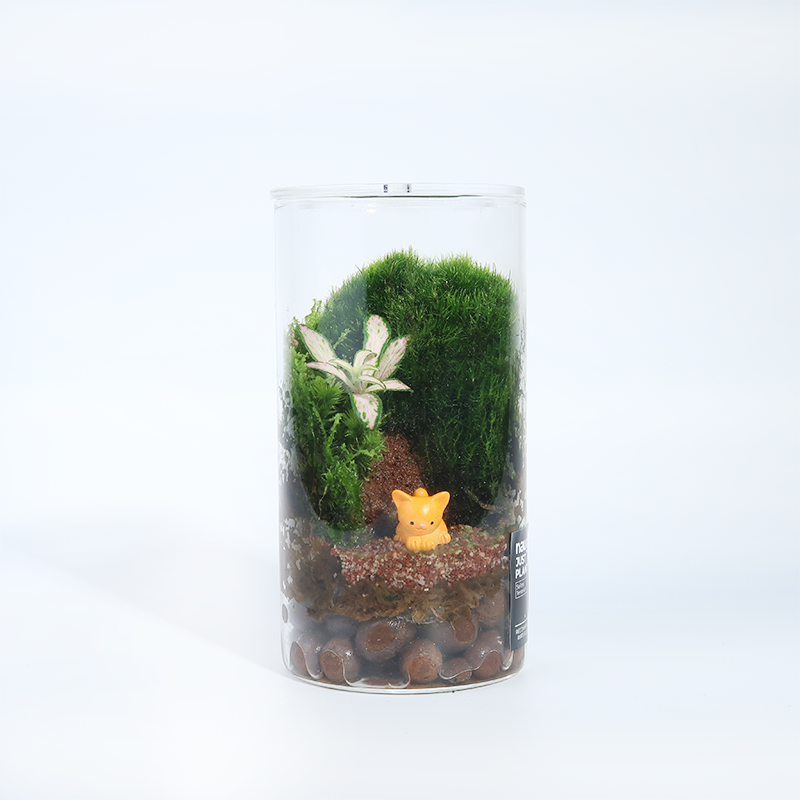 Fun Terrarium Series