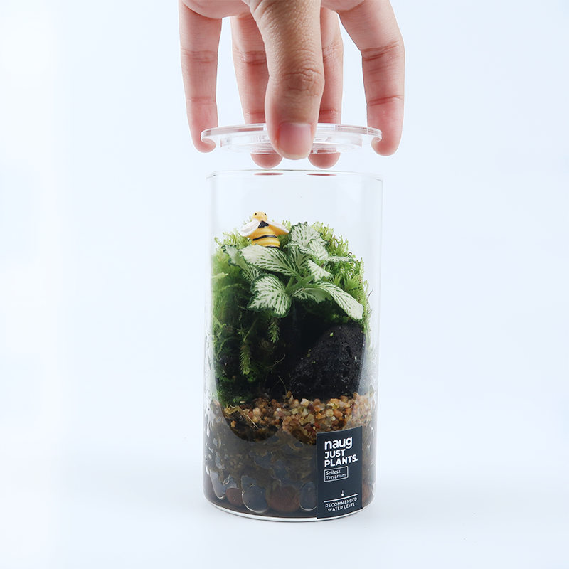 Fun Terrarium Series