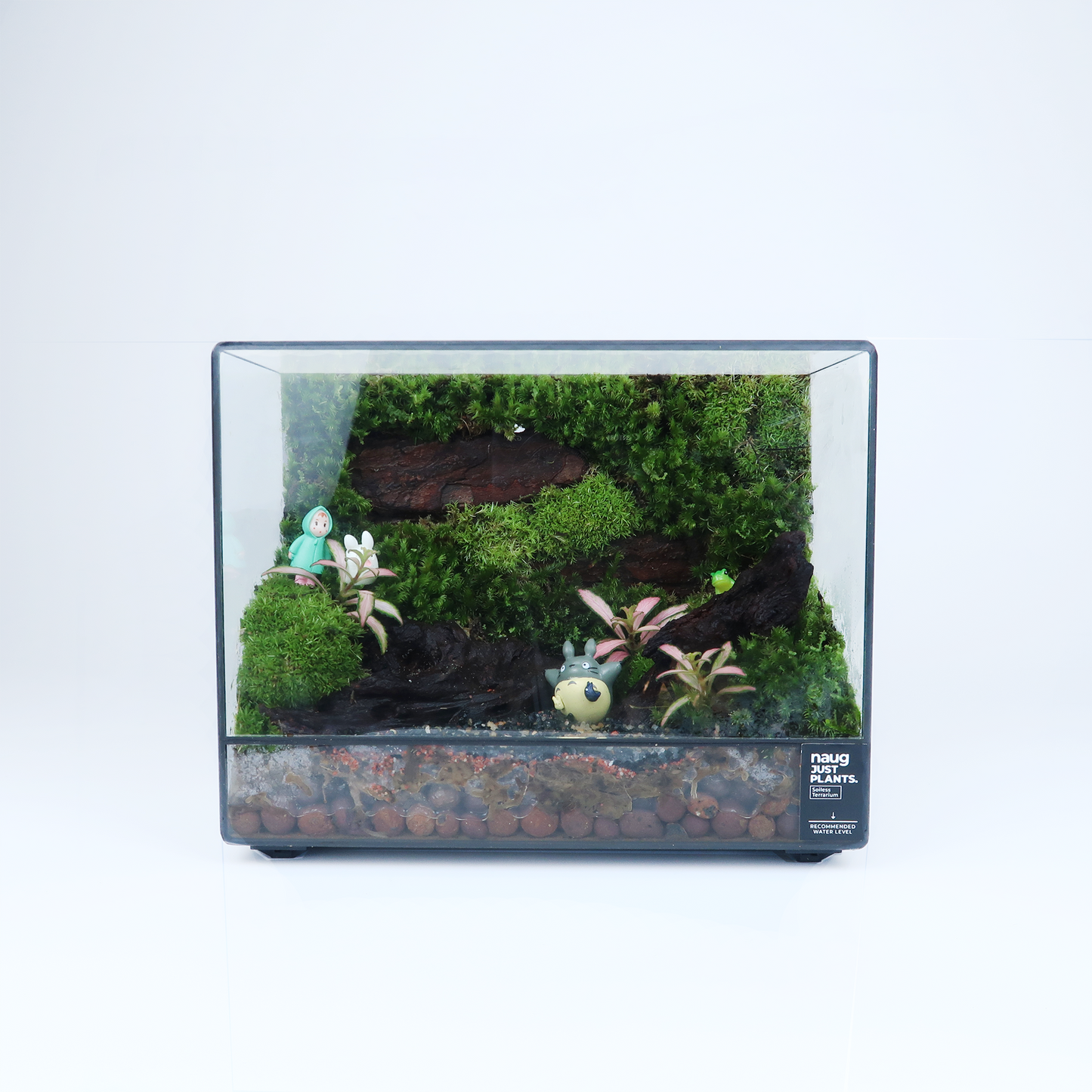 Green Wall Terrarium Series