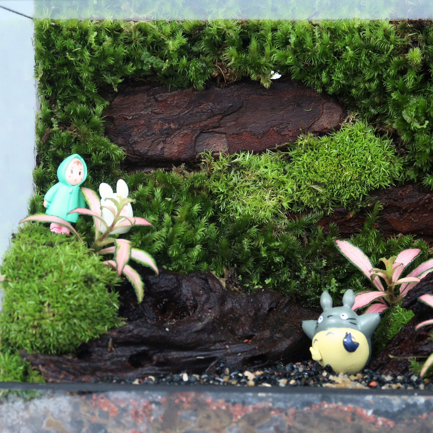 Green Wall Terrarium Series