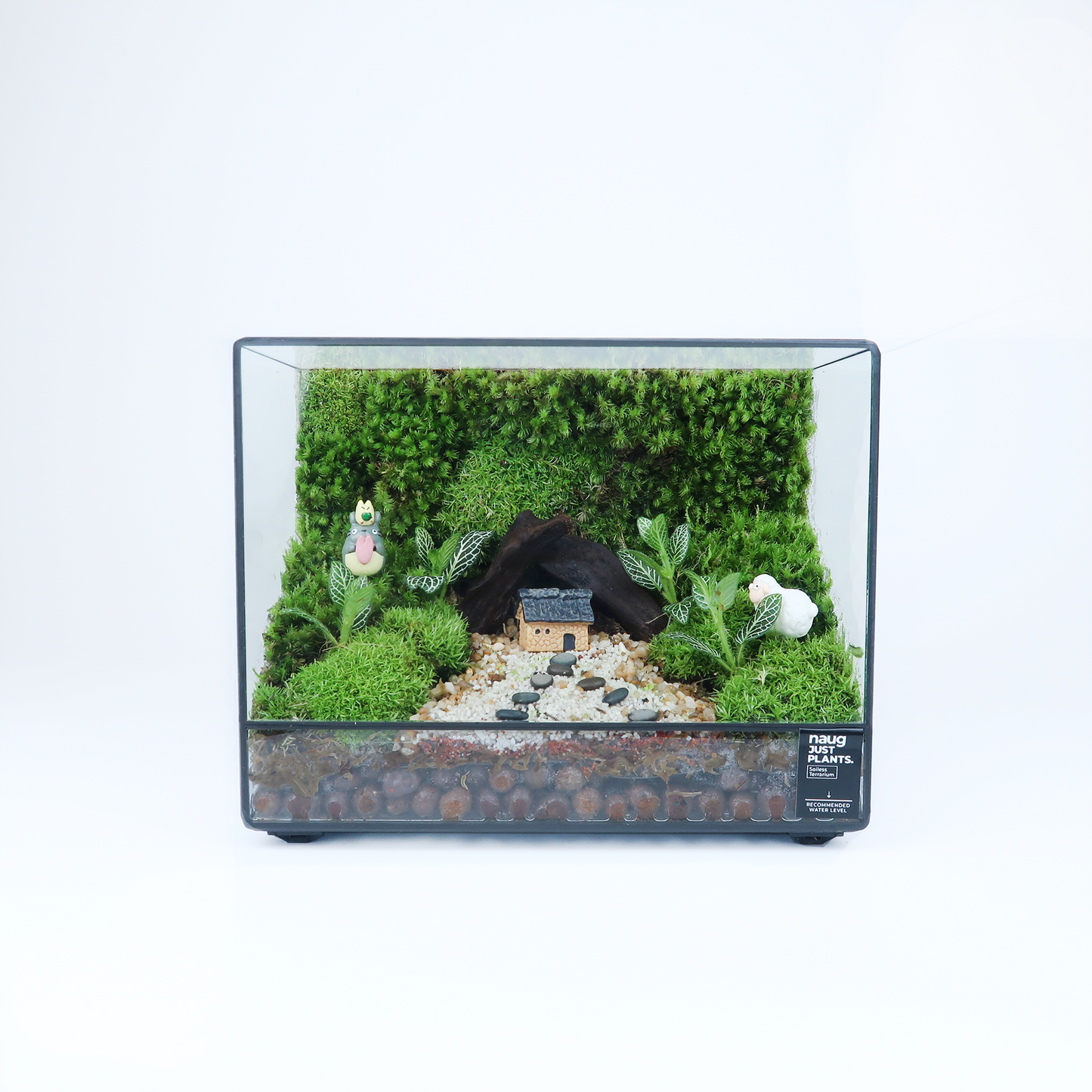 Green Wall Terrarium Series