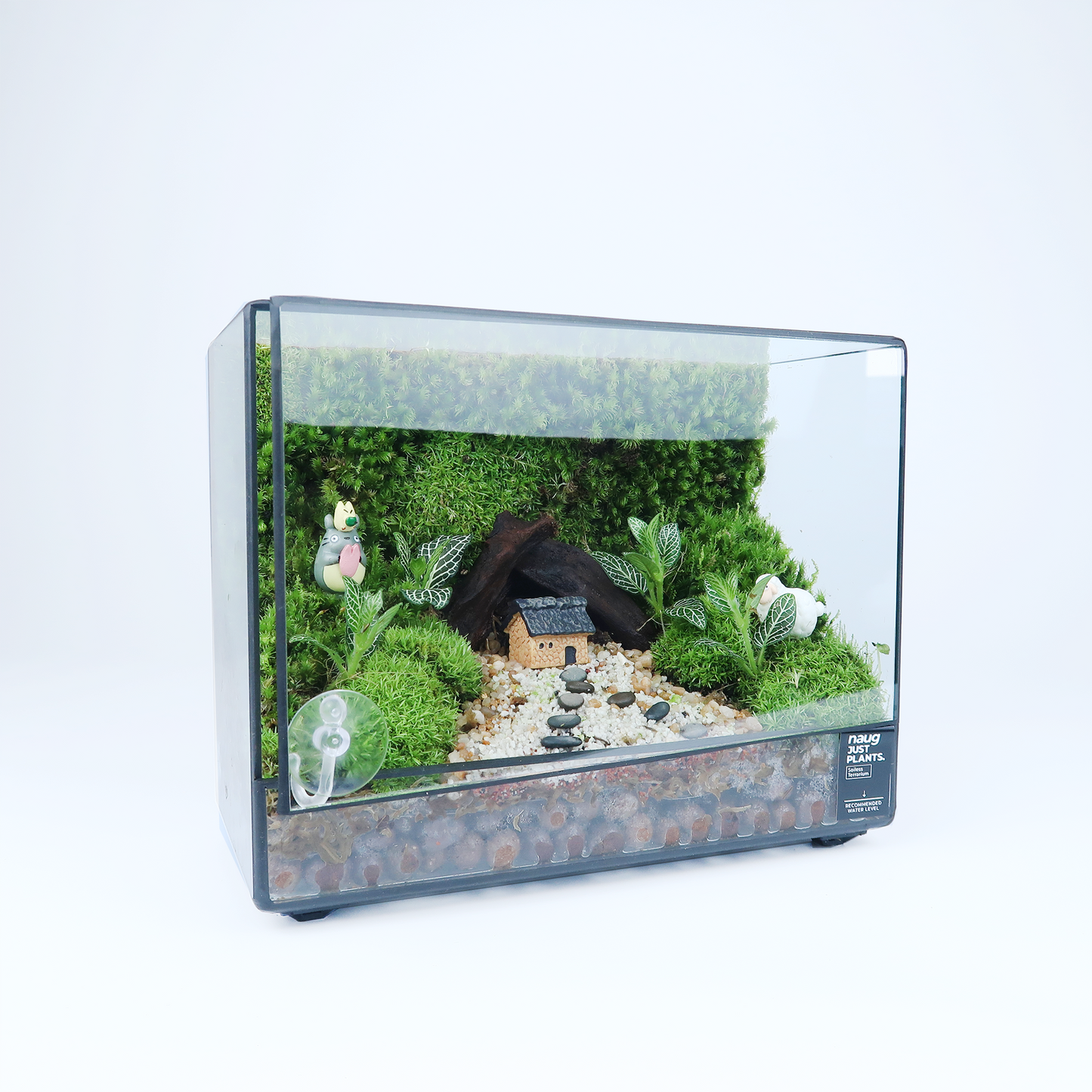 Green Wall Terrarium Series