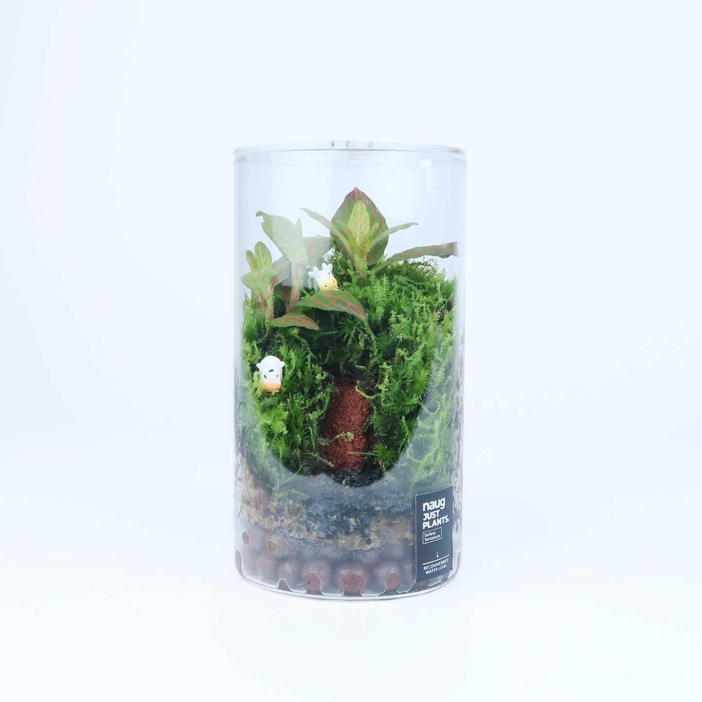 Basic Terrarium Series
