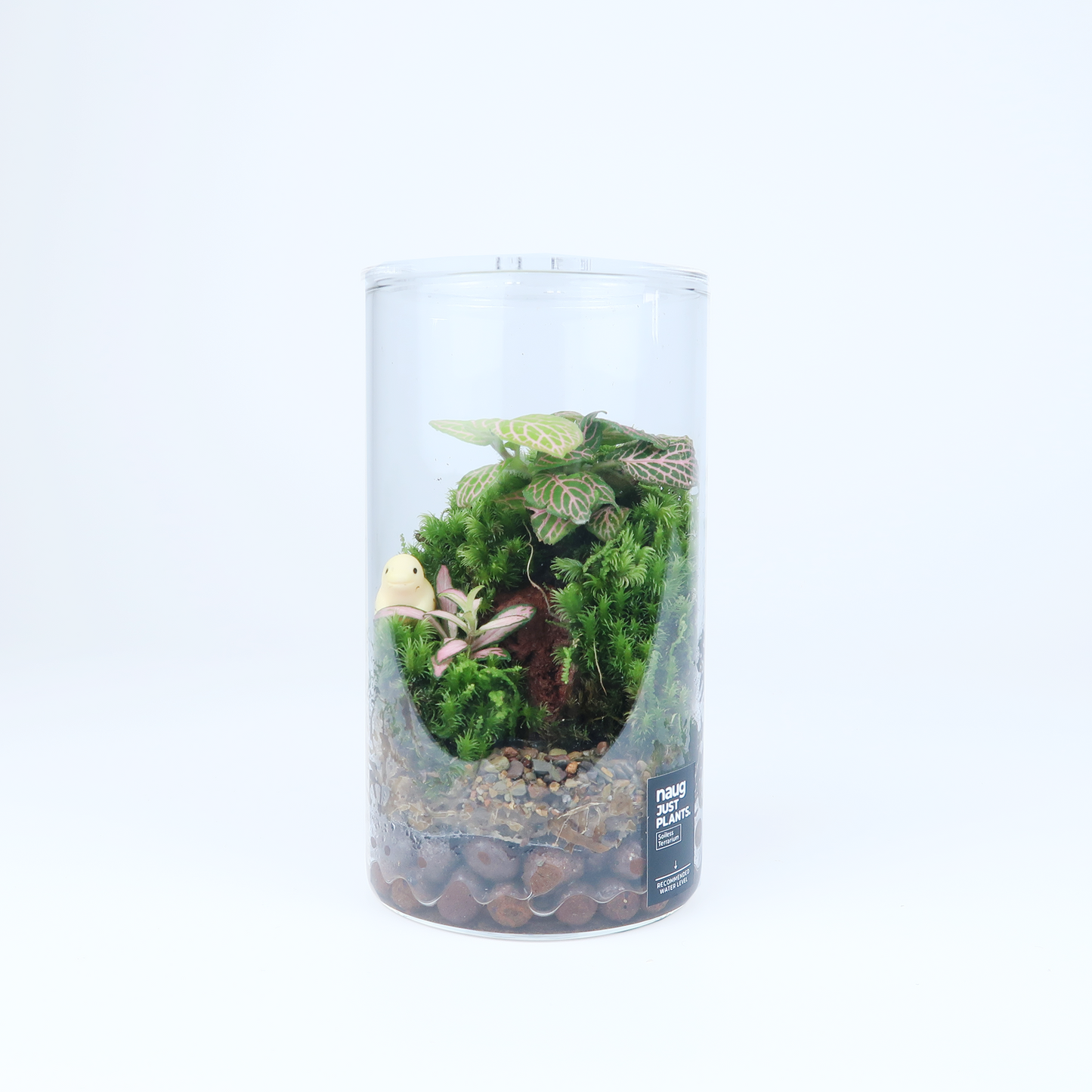 Basic Terrarium Series