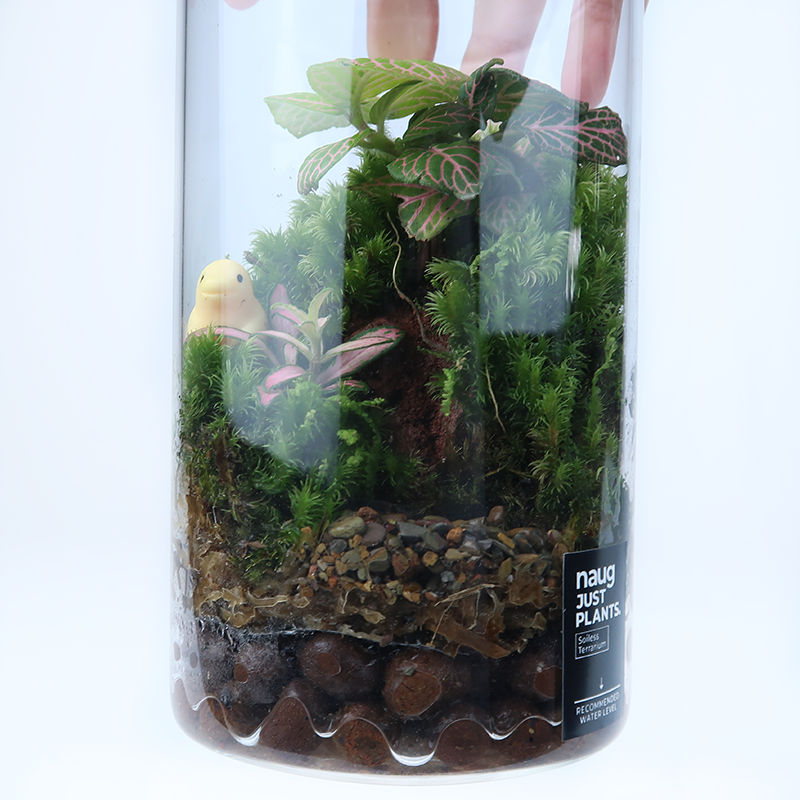 Basic Terrarium Series