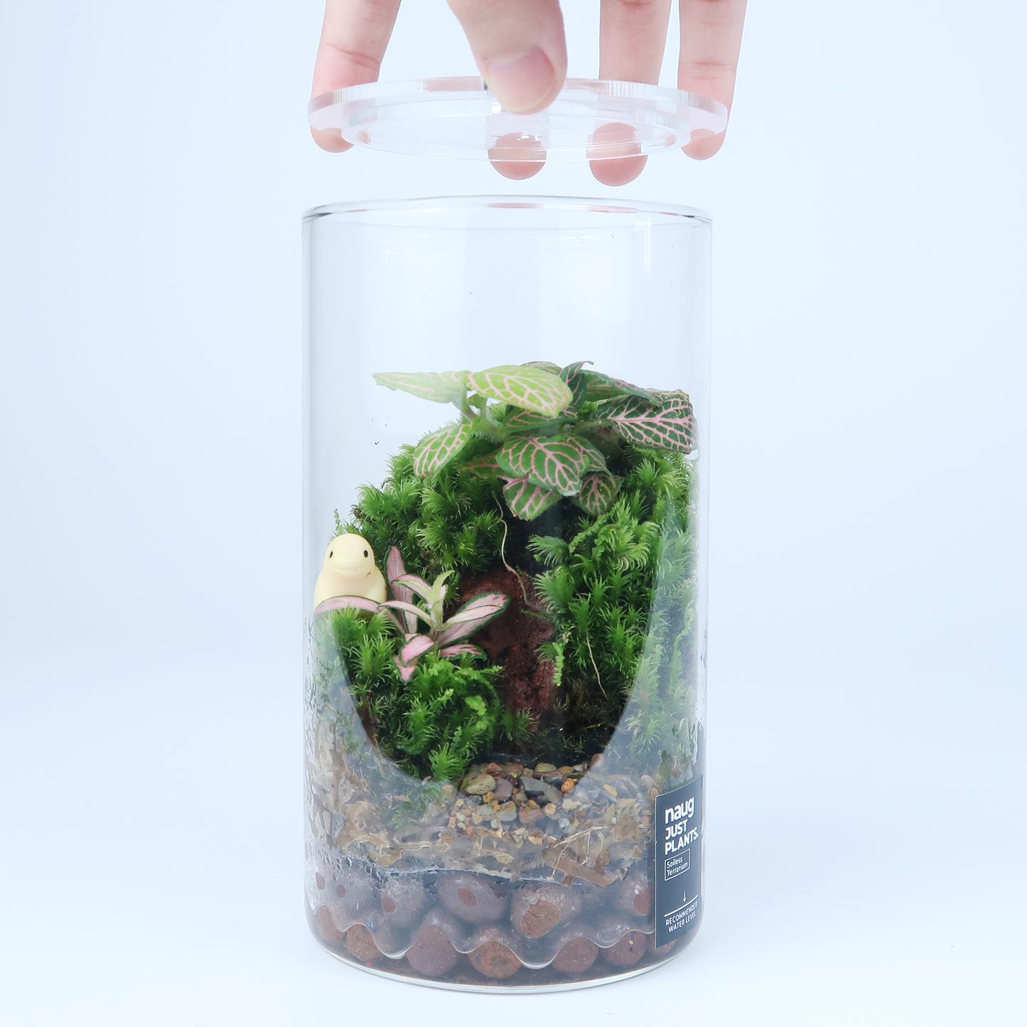 Basic Terrarium Series